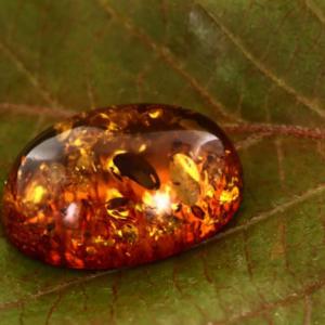 AMBRE DU MONDE